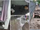 FOTO. La cabina &quot;latrina&quot;, il tombino &quot;piscina&quot; e il pontile distrutto: tutte le denunce varesine di Esposito
