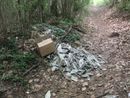 L'amianto nei boschi tra Laveno e Leggiuno? Dopo 18 giorni è ancora lì...
