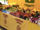 Varese, in viale Valganna il nuovo mercato coperto con i banchi dei produttori del territorio Varese, in viale Valganna il nuovo mercato coperto con i banchi dei produttori del territorio