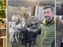 I prodotti della terra appena colti, il caprone Pasqualino e Daniele Bissacca alla Fazenda del Besa, in via Piana di Luco, tra viale Borri e Schianno