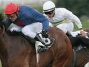 Ippodromo, stagione al via in ritardo e senza pubblico. Ma almeno si parte