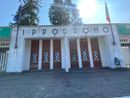 Nulla da fare per l'ippodromo: per ora niente corse né pubblico. Ma c'è ancora tempo
