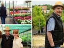 Angelo Pozzi, papà di Renato che gestisce la Floricoltura di via Monte Generoso a Varese, in foto è con Paola, moglie di Renato, e Irene, la nipote. Sotto in gallery si intravedono anche gli ultimi mitici muretti di cemento bassi pieni d’erba datati 1950, i “letturitt” in cui si coltivavano le verdure e i fiori eretti da papà Giovanni al suo arrivo a Bizzozero