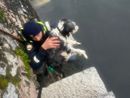 la foto del salvataggio del cane a Intra (tratta da Vconews.it)