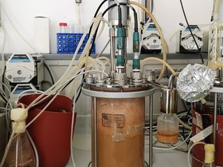 Uno dei fermentatori dell’Università dell’Insubria in cui è stata prodotta la nuova molecola Uno dei fermentatori dell’Università dell’Insubria in cui è stata prodotta la nuova molecola