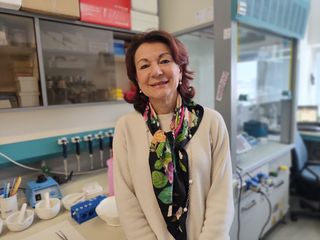 Flavia Marinelli Flavia Marinelli