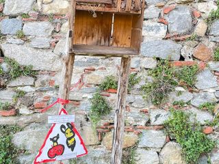 I cartelli pieni di "meraviglia" lasciati dai bimbi dell'asilo Vasconi per le strade di Besozzo