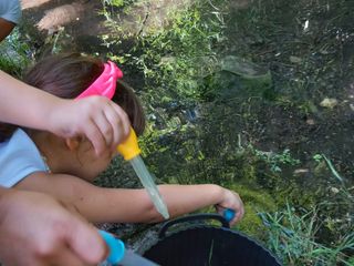 Alcuni momenti delle attività svolte durante il campo estivo