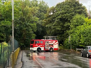 Viale Piero Chiara chiuso a Varese, i vigili del fuoco stanno liberando la strada Viale Piero Chiara chiuso a Varese, i vigili del fuoco stanno liberando la strada