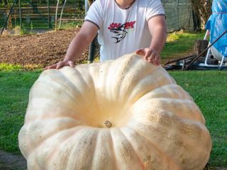 La zucca dei record coltivata a Brunello