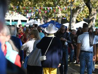 Alcune immagini della Festa della Zucca di Gavirate 2025 (foto di Angela Garro)