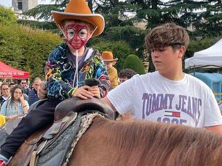 Alcune immagini della festa del Ponte del Sorriso ai Giardini Estensi Alcune immagini della festa del Ponte del Sorriso ai Giardini Estensi