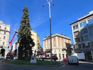 La posa delle lucine sull'albero di piazza Monte Grappa