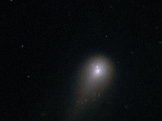 (foto Francesco Cotroneo) (foto Francesco Cotroneo)