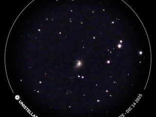 (foto Francesco Cotroneo) (foto Francesco Cotroneo)