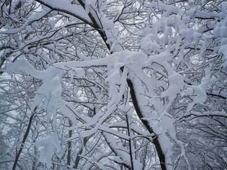 Le immagini pubblicate dalla Società Astronomica Schiaparelli