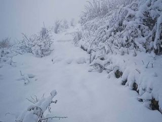 Le immagini pubblicate dalla Società Astronomica Schiaparelli