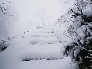 Le immagini pubblicate dalla Società Astronomica Schiaparelli