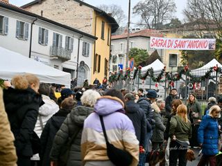 Le foto di Angela Garro alla Festa di Sant'Antonio a Besozzo