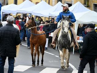 Le foto di Angela Garro alla Festa di Sant'Antonio a Besozzo