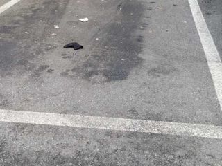 Le immagini scattate dalla lista civica Vivere Gavirate Le immagini scattate dalla lista civica Vivere Gavirate