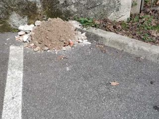 Le immagini scattate dalla lista civica Vivere Gavirate Le immagini scattate dalla lista civica Vivere Gavirate