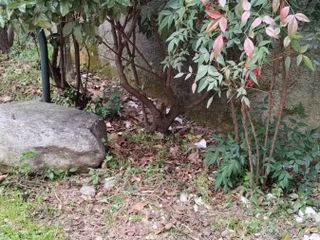 Le immagini scattate dalla lista civica Vivere Gavirate Le immagini scattate dalla lista civica Vivere Gavirate