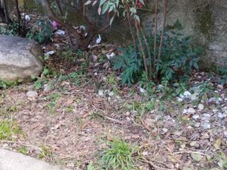 Le immagini scattate dalla lista civica Vivere Gavirate Le immagini scattate dalla lista civica Vivere Gavirate