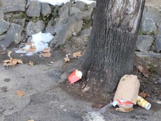 Le immagini scattate dalla lista civica Vivere Gavirate Le immagini scattate dalla lista civica Vivere Gavirate