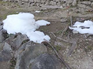 Le immagini scattate dalla lista civica Vivere Gavirate Le immagini scattate dalla lista civica Vivere Gavirate