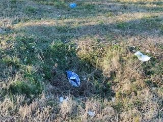 Le immagini scattate dalla lista civica Vivere Gavirate Le immagini scattate dalla lista civica Vivere Gavirate