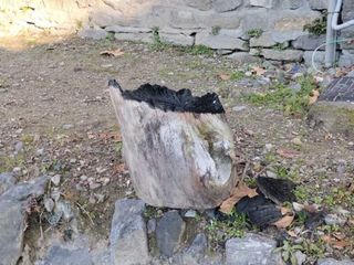 Le immagini scattate dalla lista civica Vivere Gavirate Le immagini scattate dalla lista civica Vivere Gavirate