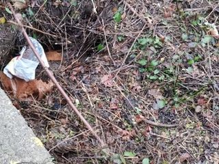 Le immagini scattate dalla lista civica Vivere Gavirate Le immagini scattate dalla lista civica Vivere Gavirate