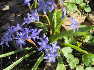 Le foto scattate oggi al Sacro Monte da Mario Chiodetti