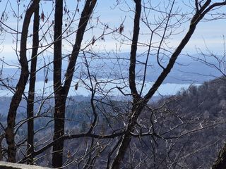 Le foto scattate oggi al Sacro Monte da Mario Chiodetti