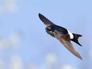 Le foto scattate oggi al Sacro Monte da Mario Chiodetti