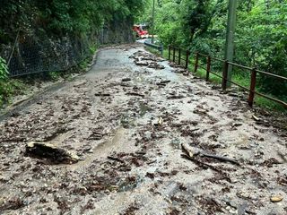 Lo smottamento sulla Sp 8 a Vararo di Cittiglio (foto gentilmente concessa di Laveno Mombello e dintorni) Lo smottamento sulla Sp 8 a Vararo di Cittiglio (foto gentilmente concessa di Laveno Mombello e dintorni)