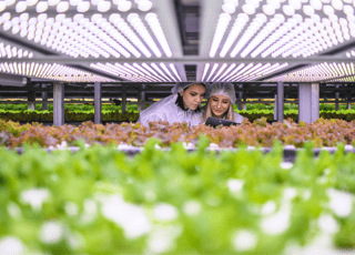 AgriMercati Ismea, positiva la congiuntura nel primo trimestre 2025