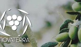 Unaprol, con olio 'Novaterra' per olivicoltura sostenibile