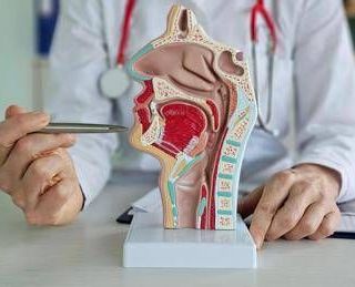 Carcinoma rinofaringeo, Ue approva tislelizumab più chemioterapia in prima linea