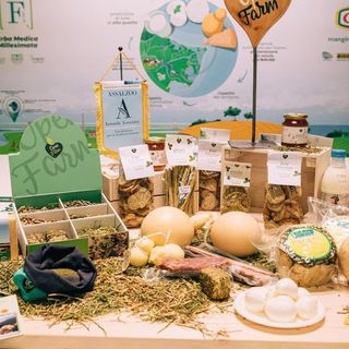 Conduzioni Agricole Forte lancia il Vision Lab, un nuovo spazio per la sostenibilità e difesa della tradizione