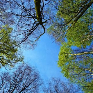 Domenica soleggiata e più calda, ma da lunedì riecco rovesci e temporali. Svolta da mercoledì prossimo?