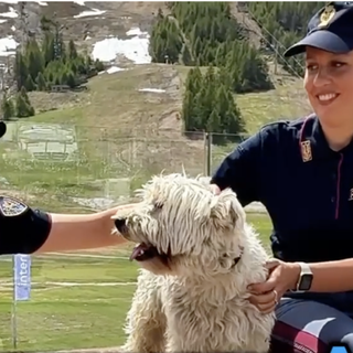 «Vacanze sì, abbandoni no»: la Polizia di Stato lancia la campagna contro chi si libera degli animali