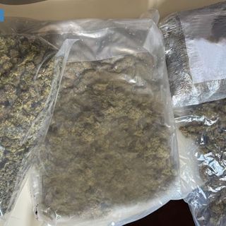 La marjuana sequestrata dalla squadra mobile di Varese a Lainate