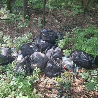 I sacchi abbandonati da alcuni giorni in una stradina che sbocca su via Savona