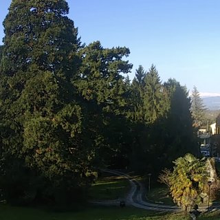 Il cielo oggi a Varese (foto webcam Centro Geofisico Prealpino)