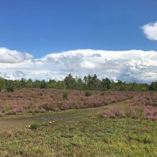 Masterplan Malpensa e Ospedale unico: la segreteria Pd convoca i circoli provinciali