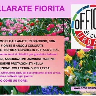 Ditelo con un fiore: «Facciamo di Gallarate un giardino»