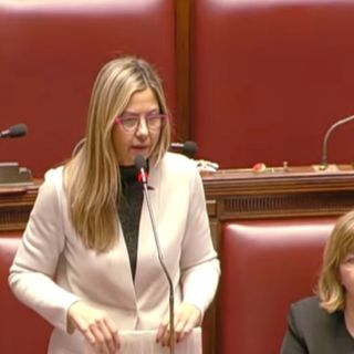 Gadda, su Irpef Meloni offende agricoltori