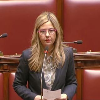 Milleproroghe, Gadda: «Semplificare regime Iva Terzo settore»